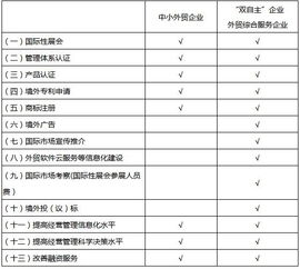 北京市外經(jīng)貿(mào)發(fā)展資金支持外貿(mào)企業(yè)提升國際化經(jīng)營能力實施方案解讀 網(wǎng)站開發(fā)與運營的關鍵作用